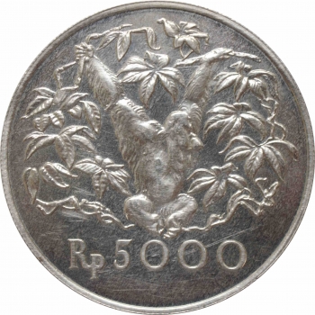 Индонезия 5000 рупий 1974 г., UNC, "Орангутан"