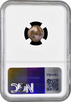Нидерланды 1/2 цента 1884 г., NGC MS66 BN, "Король Виллем III (1849 - 1890)" Top Pop 1/0