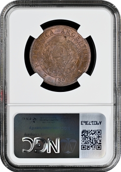Аргентина 2 сентаво 1890 г., NGC MS64 BN, "Песо аргентинское (1881 - 1969)" Top Pop