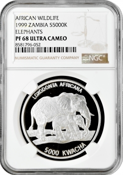 Замбія 5000 квач 1999 р., NGC PF68 UC, "Дика природа Африки - Слон зі слоненятком"