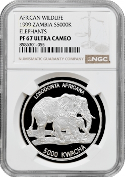 Замбія 5000 квач 1999 р., NGC PF67 UC, "Дика природа Африки - Слон зі слоненятком"
