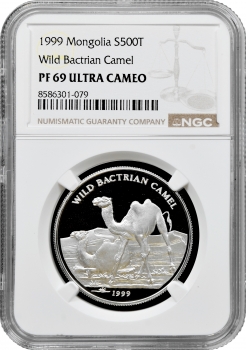 Монголія 500 тугриків 1999 р., NGC PF69 UC, "Дикий бактрійський верблюд"