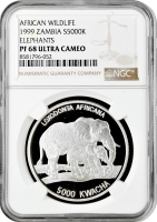 Замбія 5000 квач 1999 р., NGC PF68 UC, "Дика природа Африки - Слон зі слоненятком"