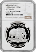 Замбія 5000 квач 1999 р., NGC PF67 UC, "Дика природа Африки - Слон зі слоненятком"