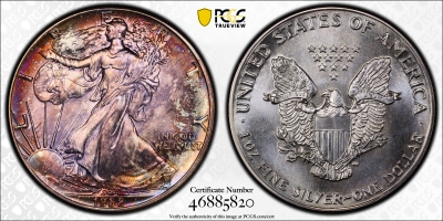США 1 доллар 1988 г., PCGS MS66, "Американский серебряный орёл" ПАТИНИРОВАННАЯ